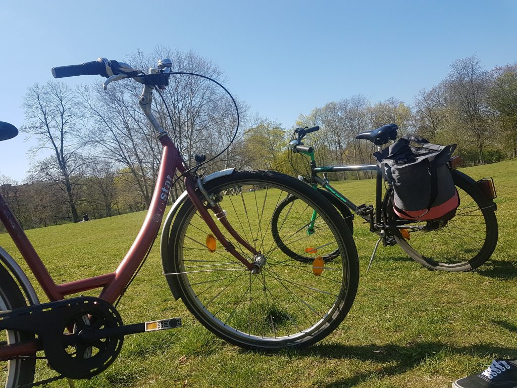 Fahrräder im park