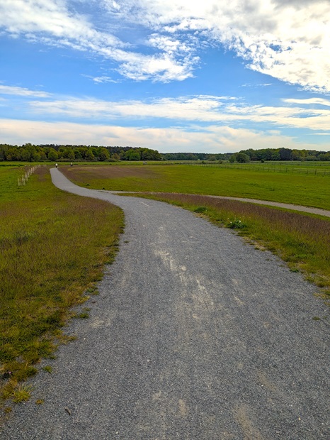 Aller-Radweg mit Schotteruntergrund