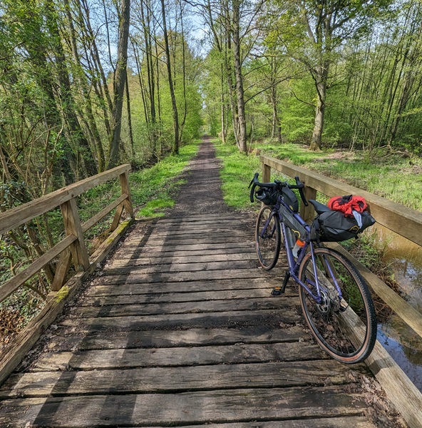 Fahrrad mit Bikepackingtaschen auf Brücke im Wald