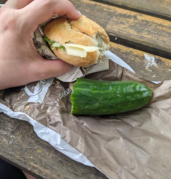 Belegtes Brötchen mit Käse und ein Stück Gurke