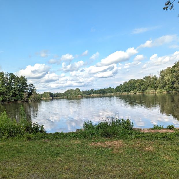 Blick vom Froschradweg auf einen See