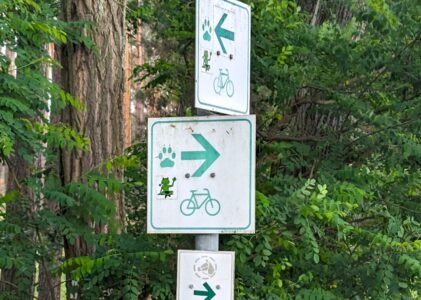 Froschradweg. In 3 Etappen durch die Lausitz