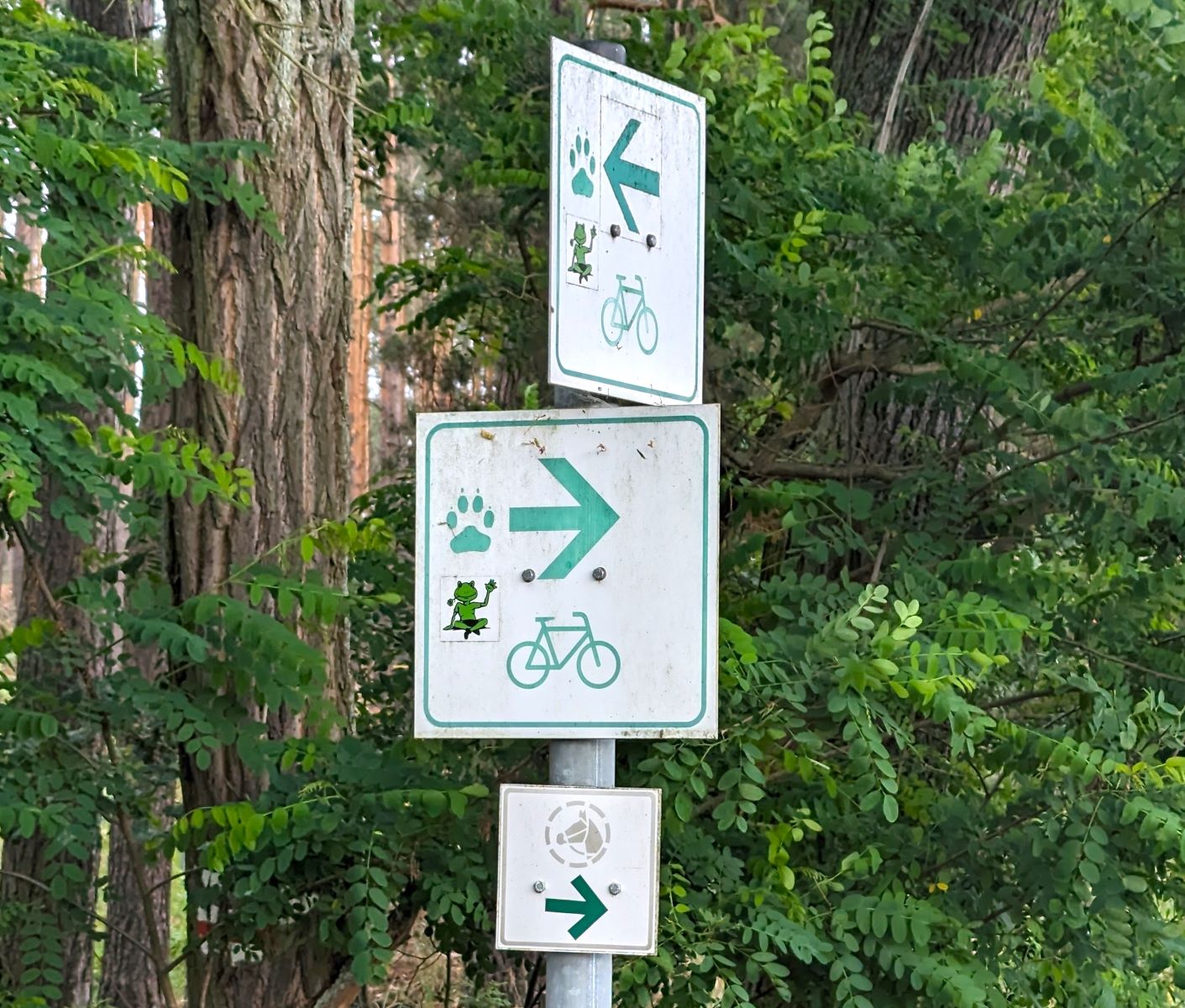 Froschradweg. In 3 Etappen durch die Lausitz