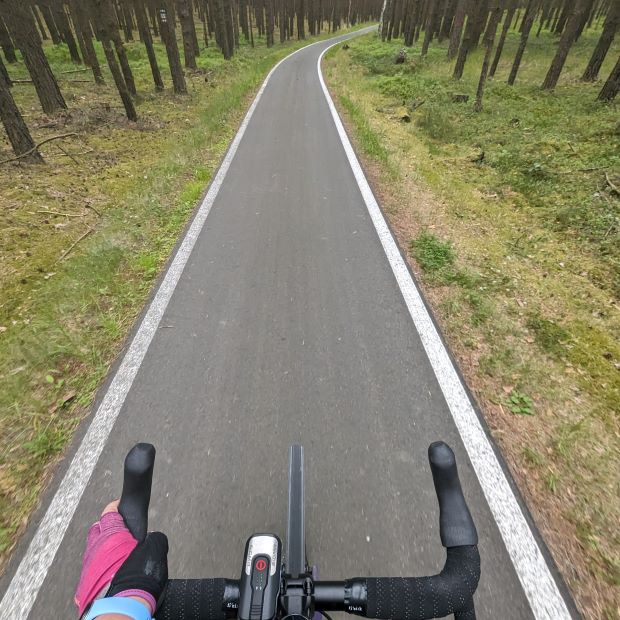 Fahrradweg mitten durch den Wald