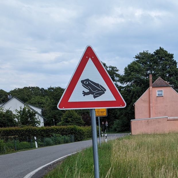 Schild Achtung Frosch