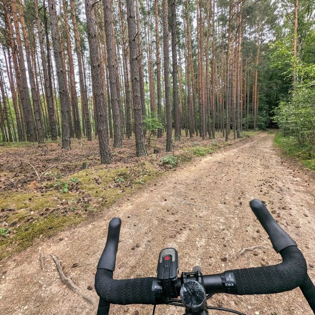 Fahrrad auf Waldweg. Blick vom Lenker aus.