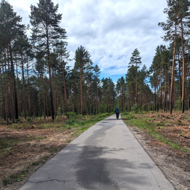 Waldweg im Spreetal