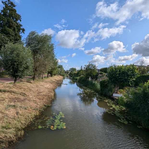 Kleiner Kanal in der Nähe von Arnheim mit Wiese und Bäumen