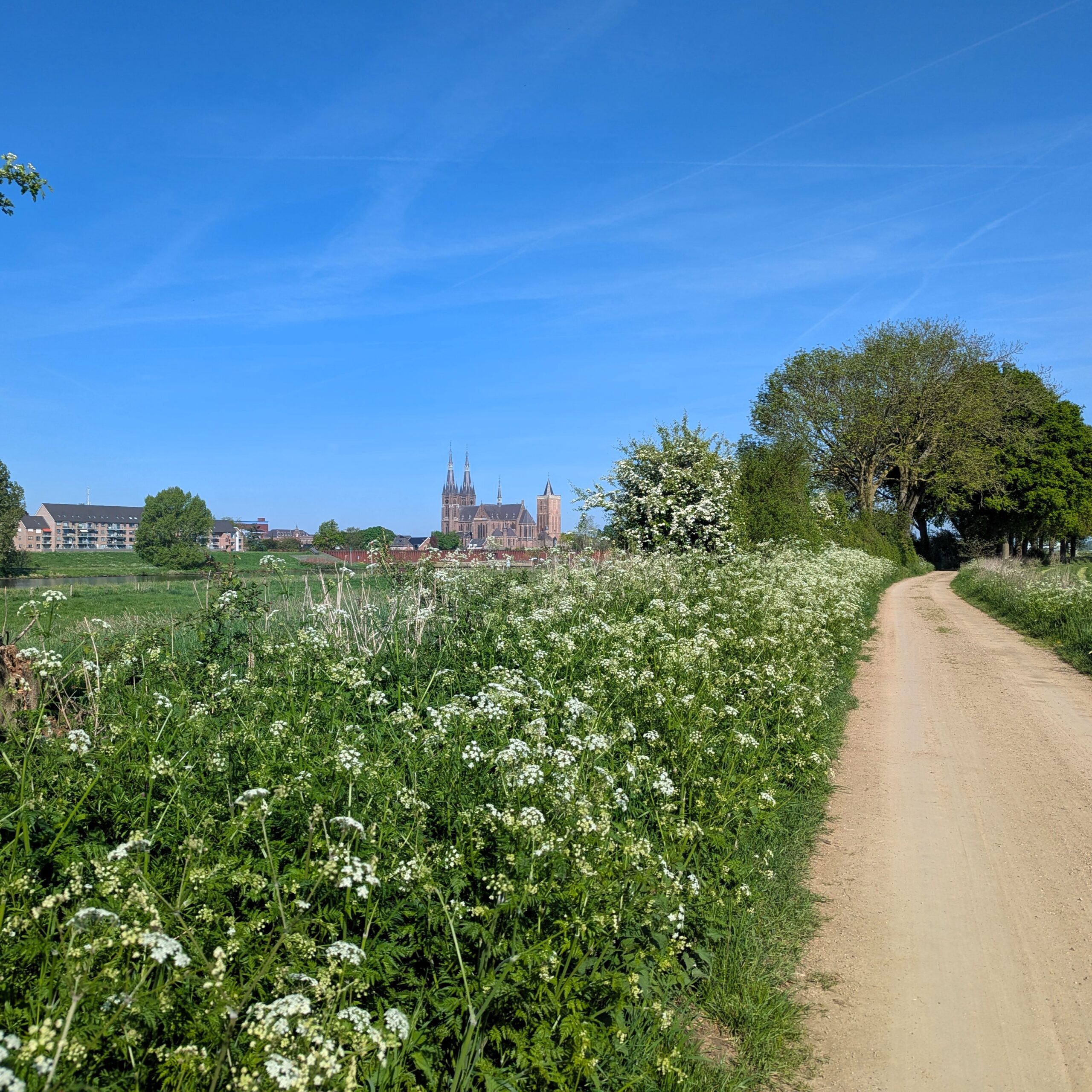 Maas- Radweg mit Schloss in Hintergrund