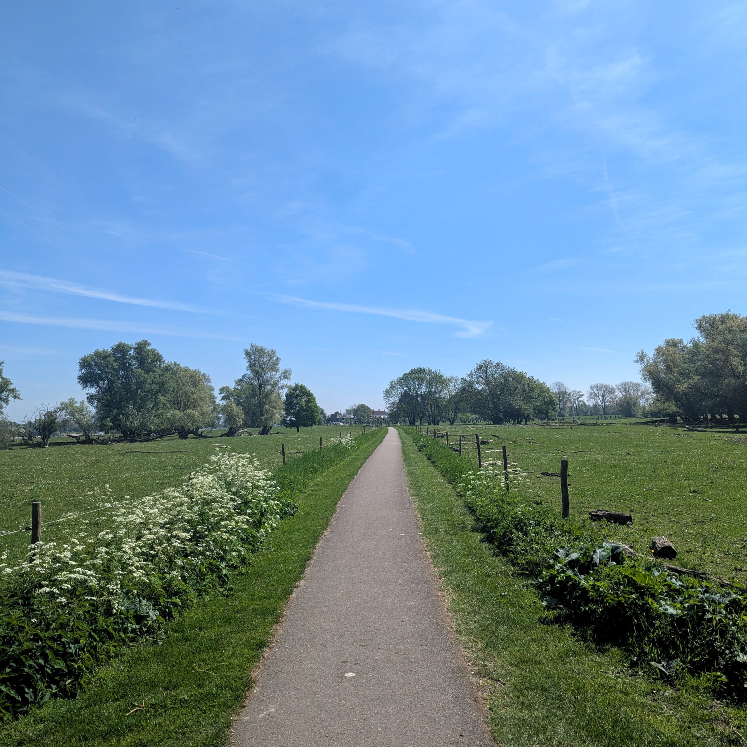 Etappe 4 Maas- Radweg von jersey cycles