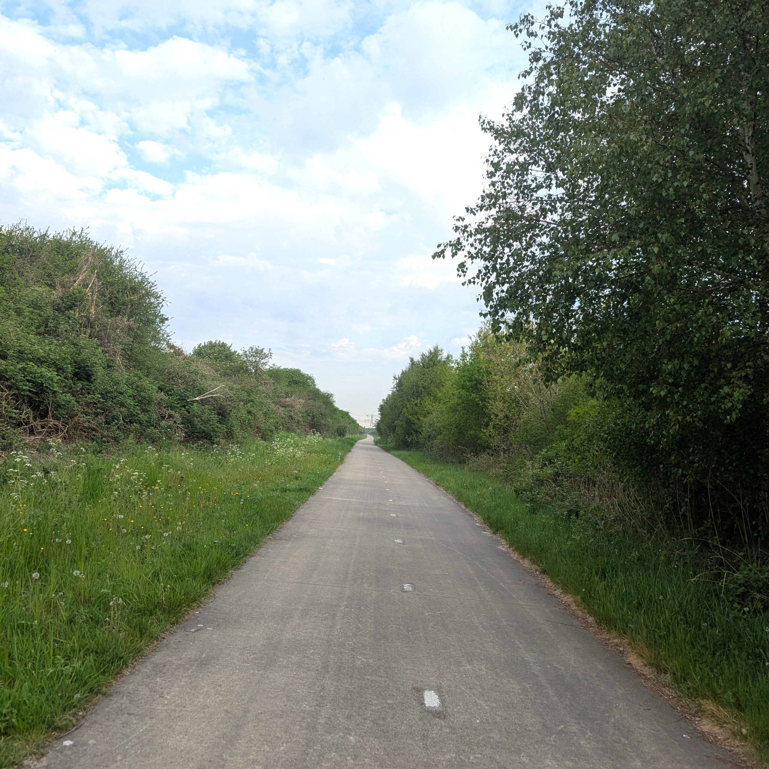 Radweg von Brielle nach Maasvlakte