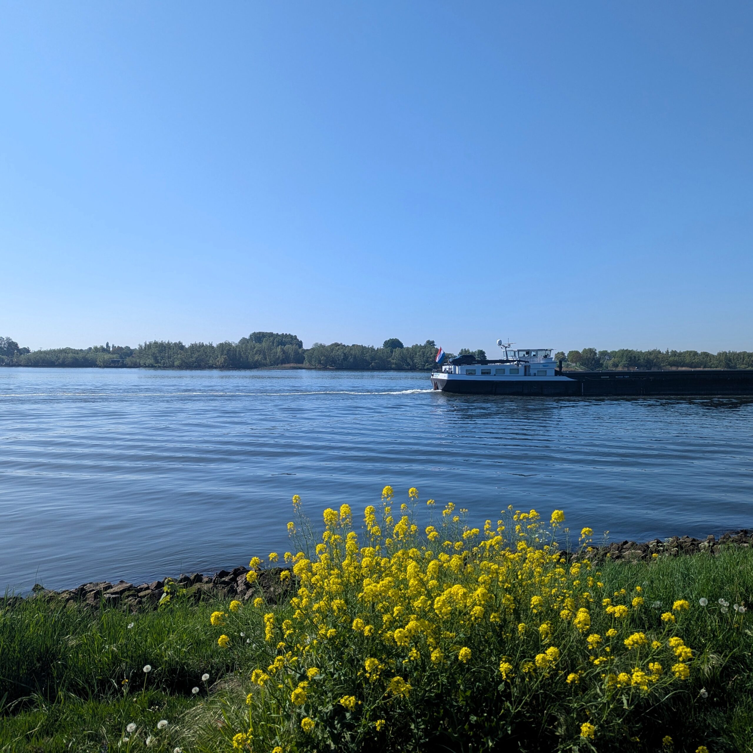Containerschiff auf der Maas