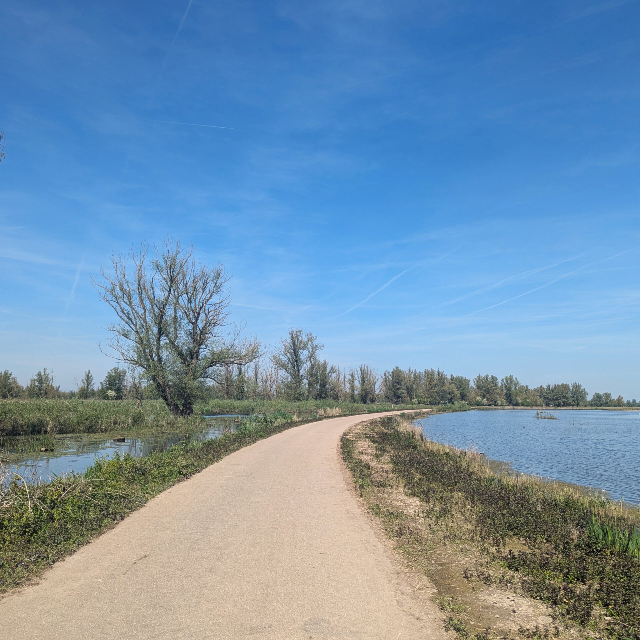 Maas-Radweg Etappe 4 Munnikenland