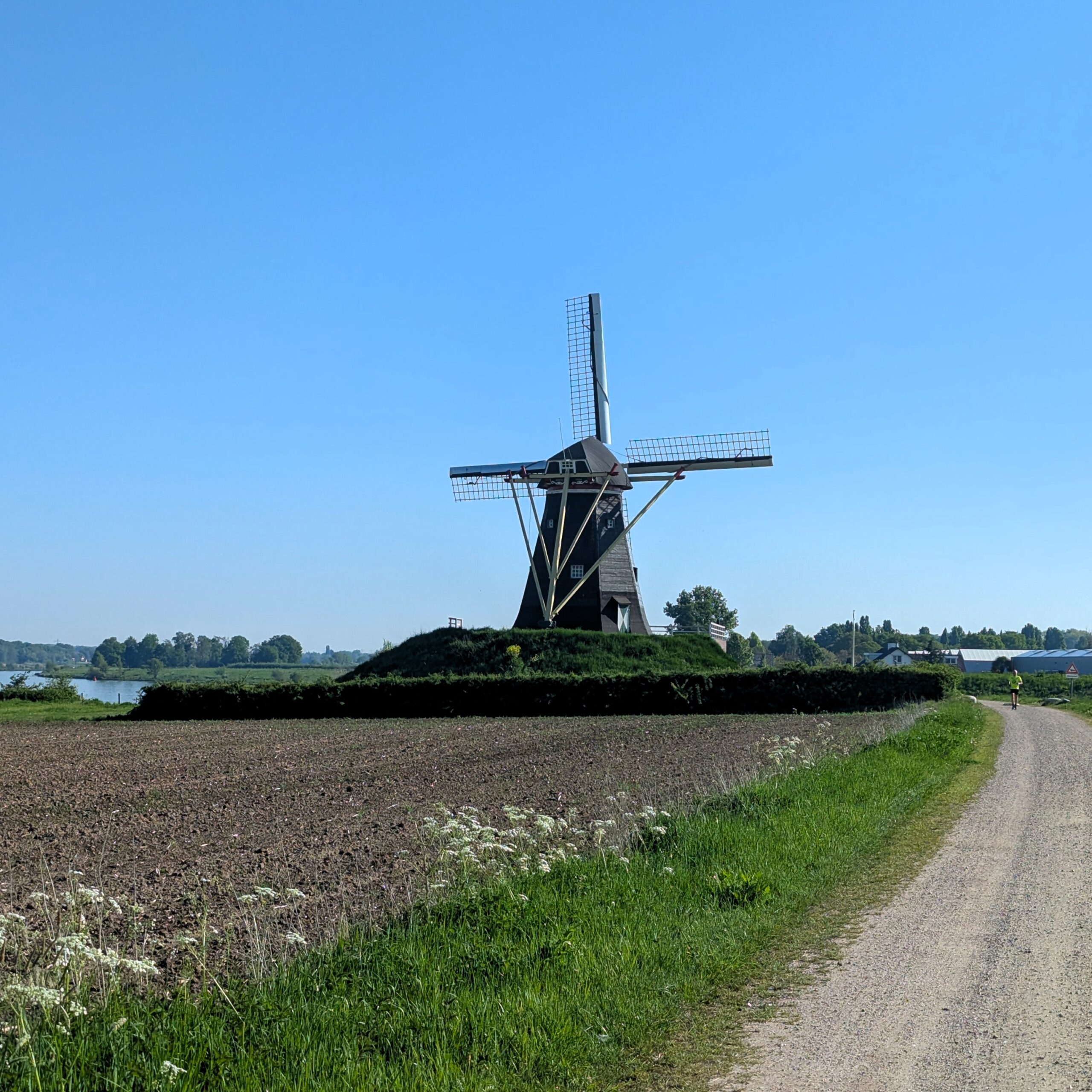 Windmühle auf dem Maas- Radweg vor Venlo