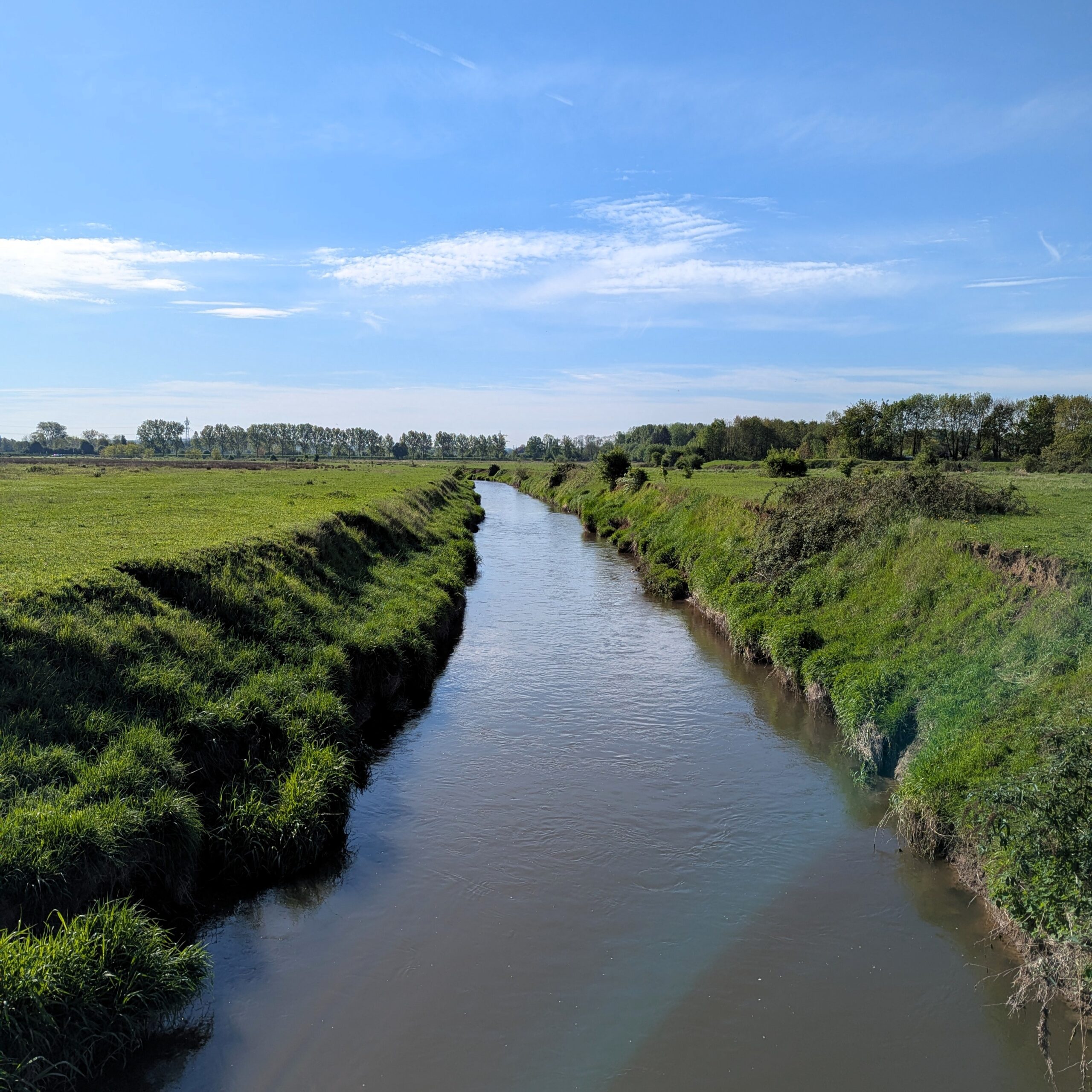 Blick auf die Maas