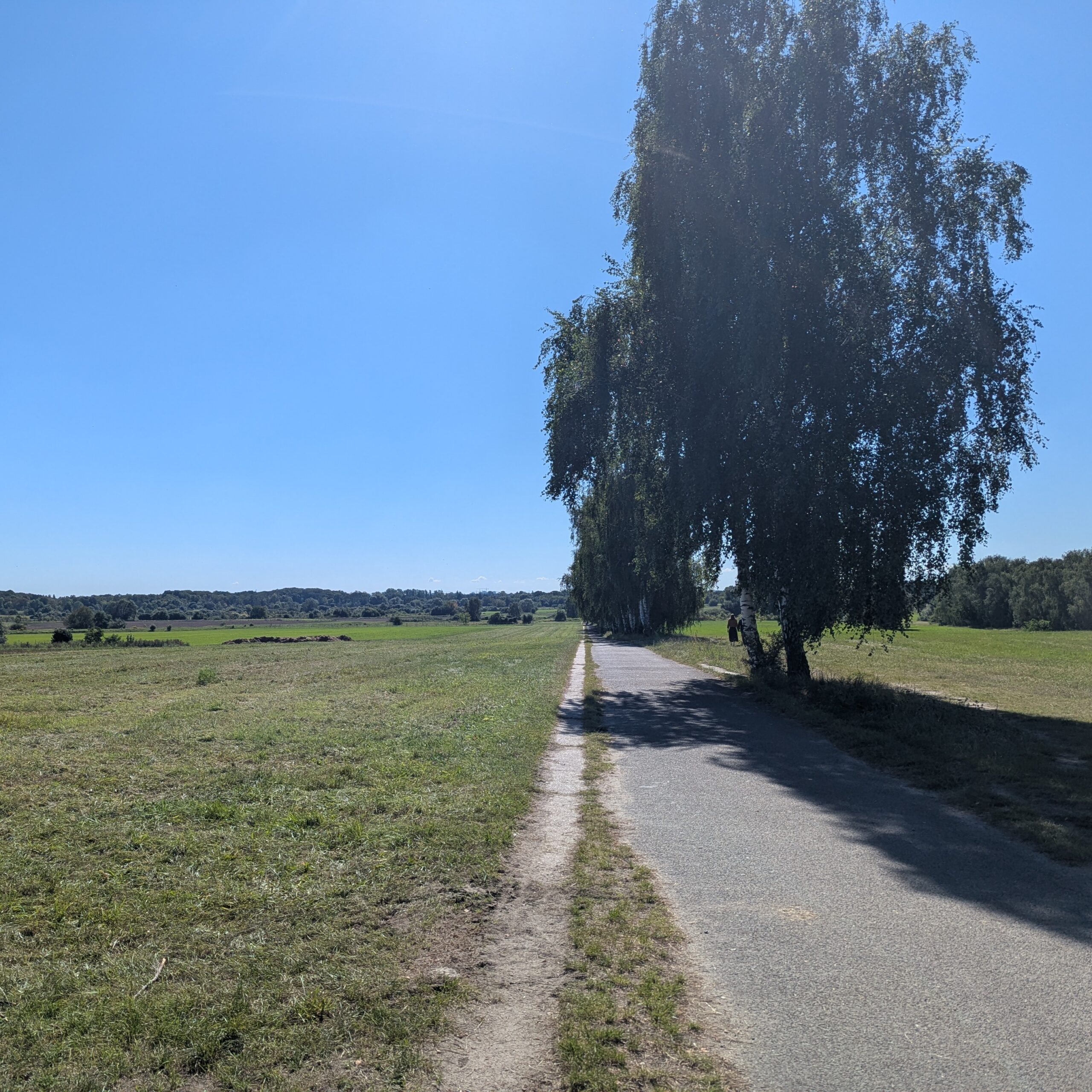 Mauerweg Radweg an den Lübarser Feldern Blick auf Berlin