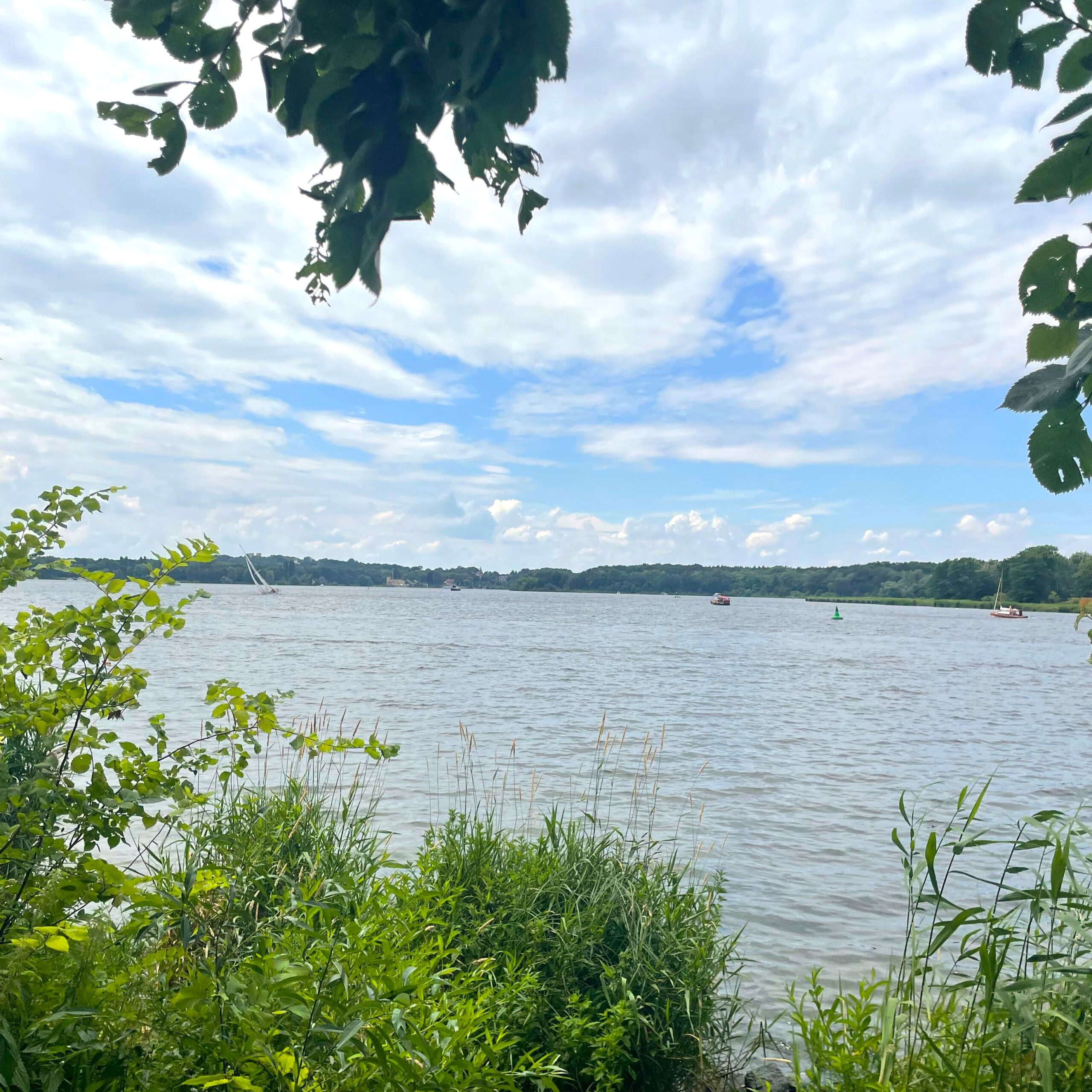 Mauerweg Radtour Blick von Wald auf Wannsee