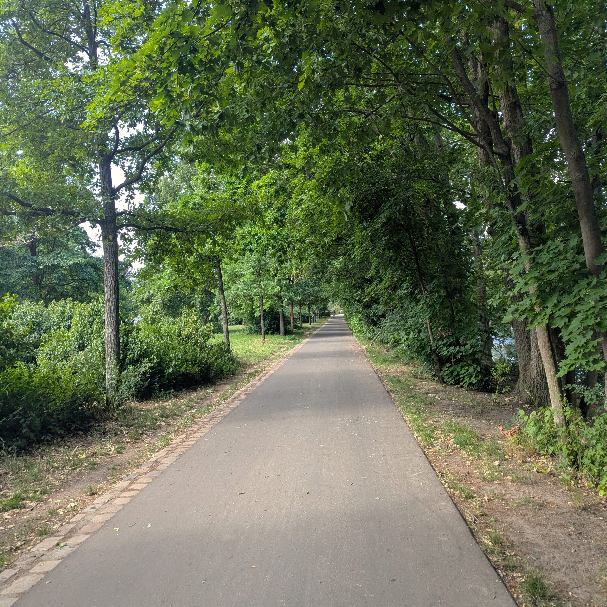 Mauerweg Radtour
