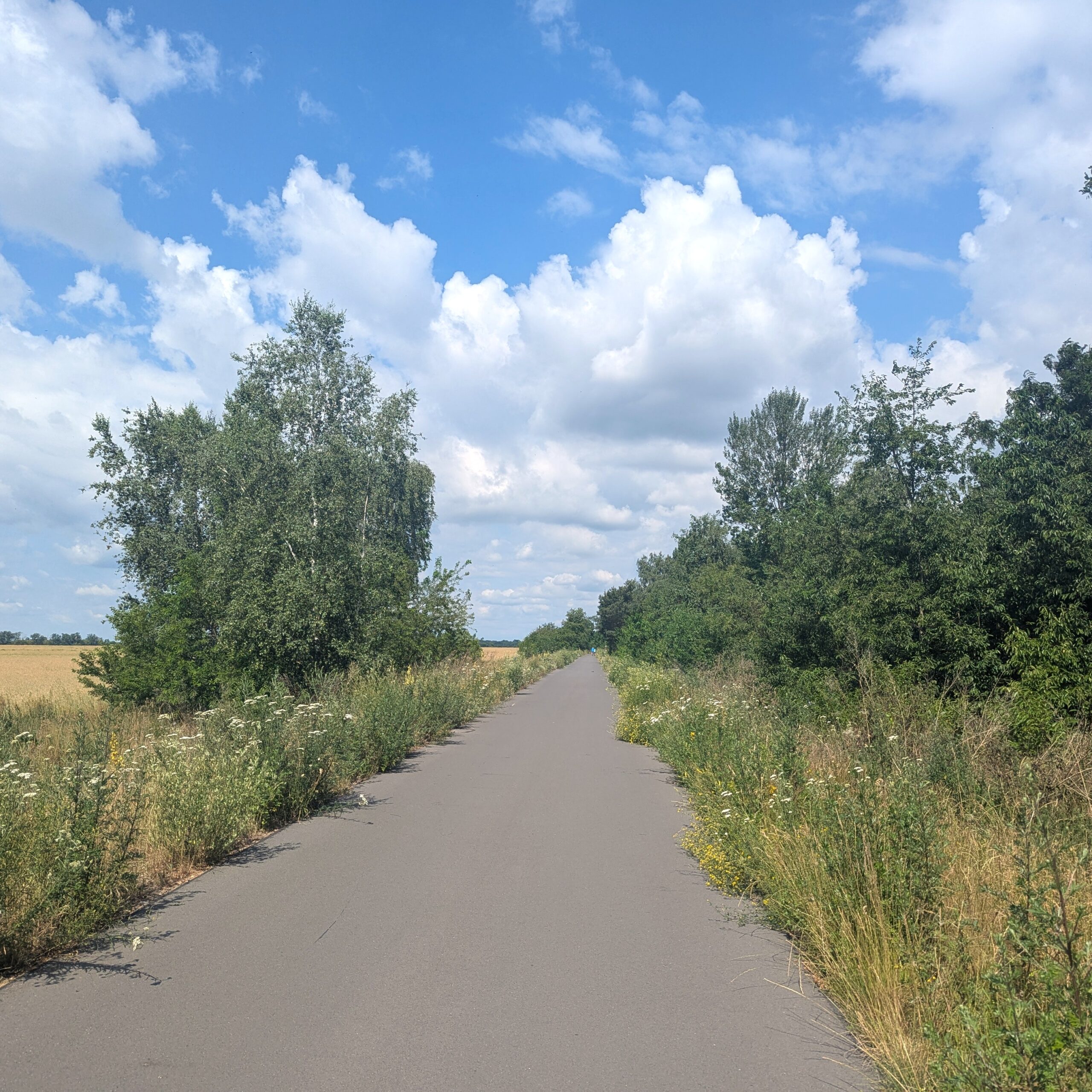 Mauerweg Radtour Asphalt zwischen Teltow und Wannsee