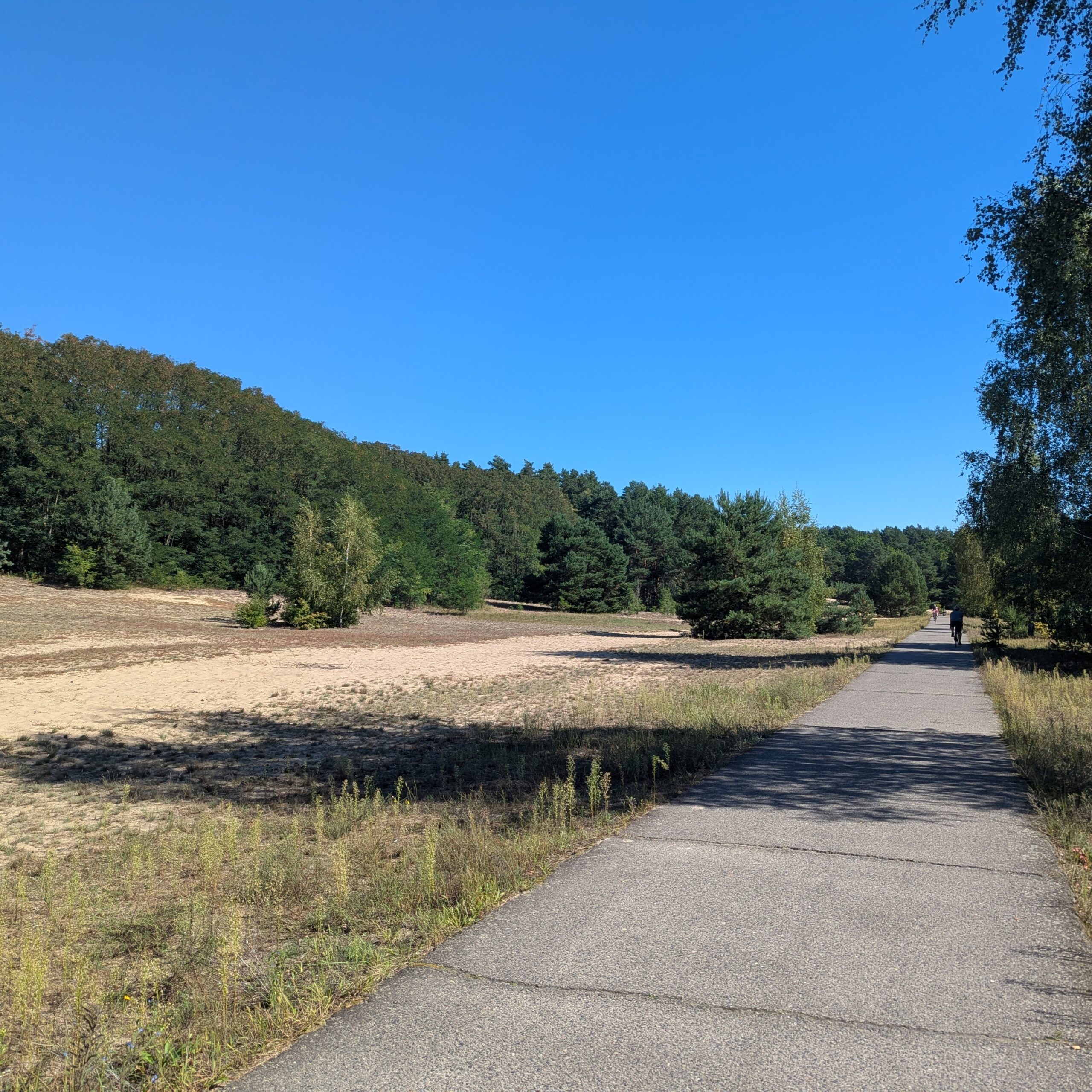 Mauerweg Radweg an der Sanddüne Tegeler Fließ