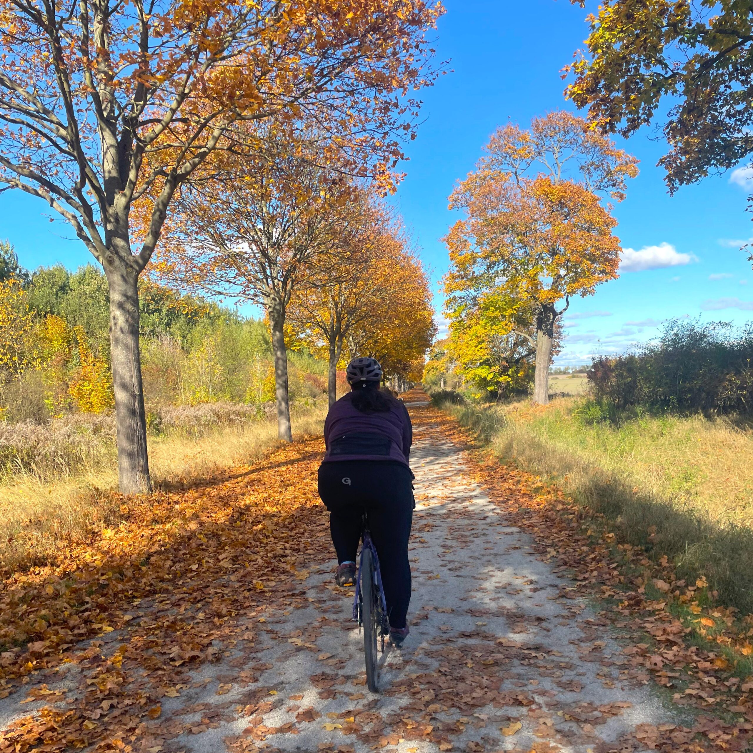 Herbsttour mit dem Fahrrad. Radfahrerin radelt durch bunte Herbstlandschaft.
