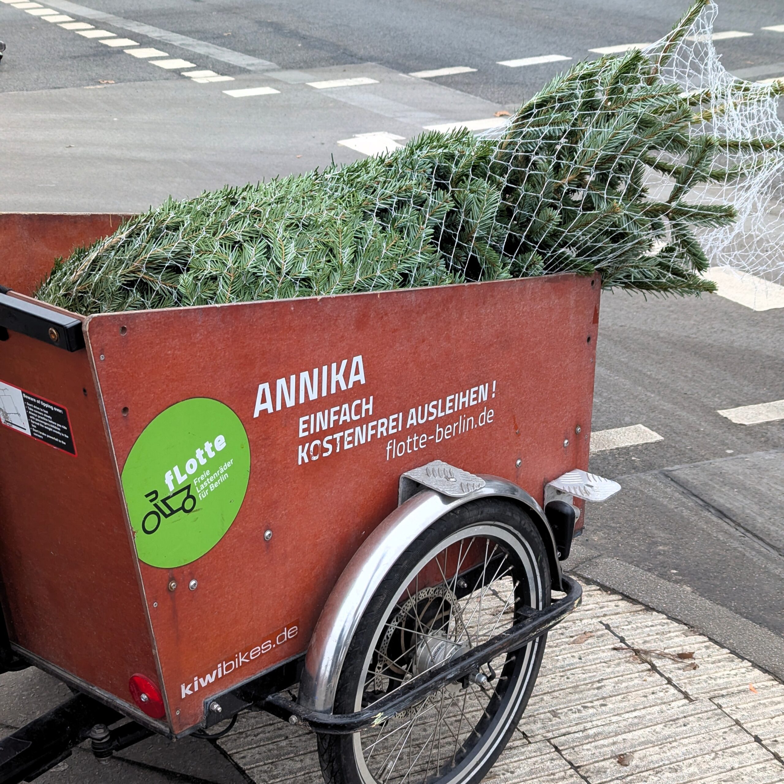Eingepackter Tannenbaum im Lastenrad von jersey cycles