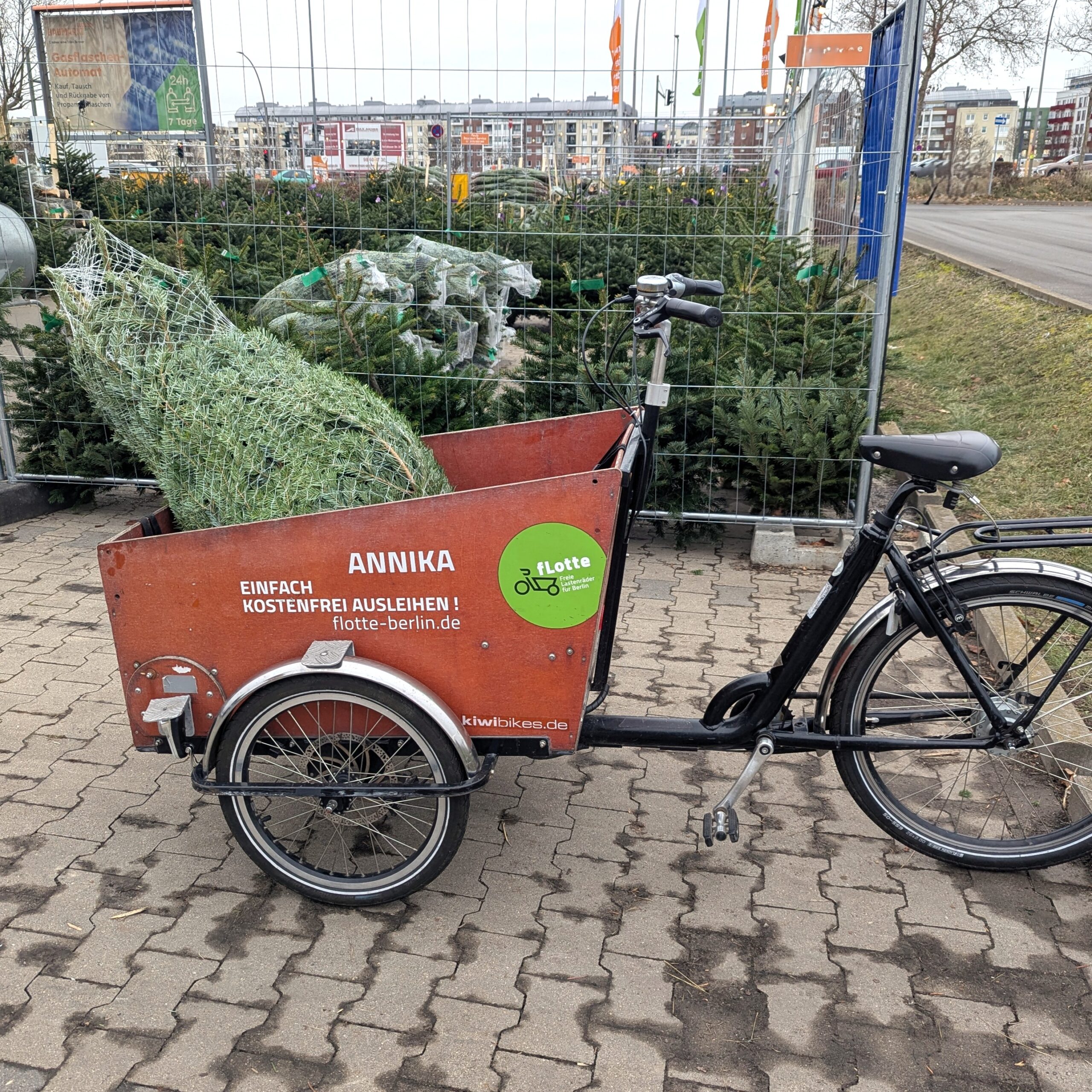 fLotte Lastenrad Weihnachtsbaum Transport