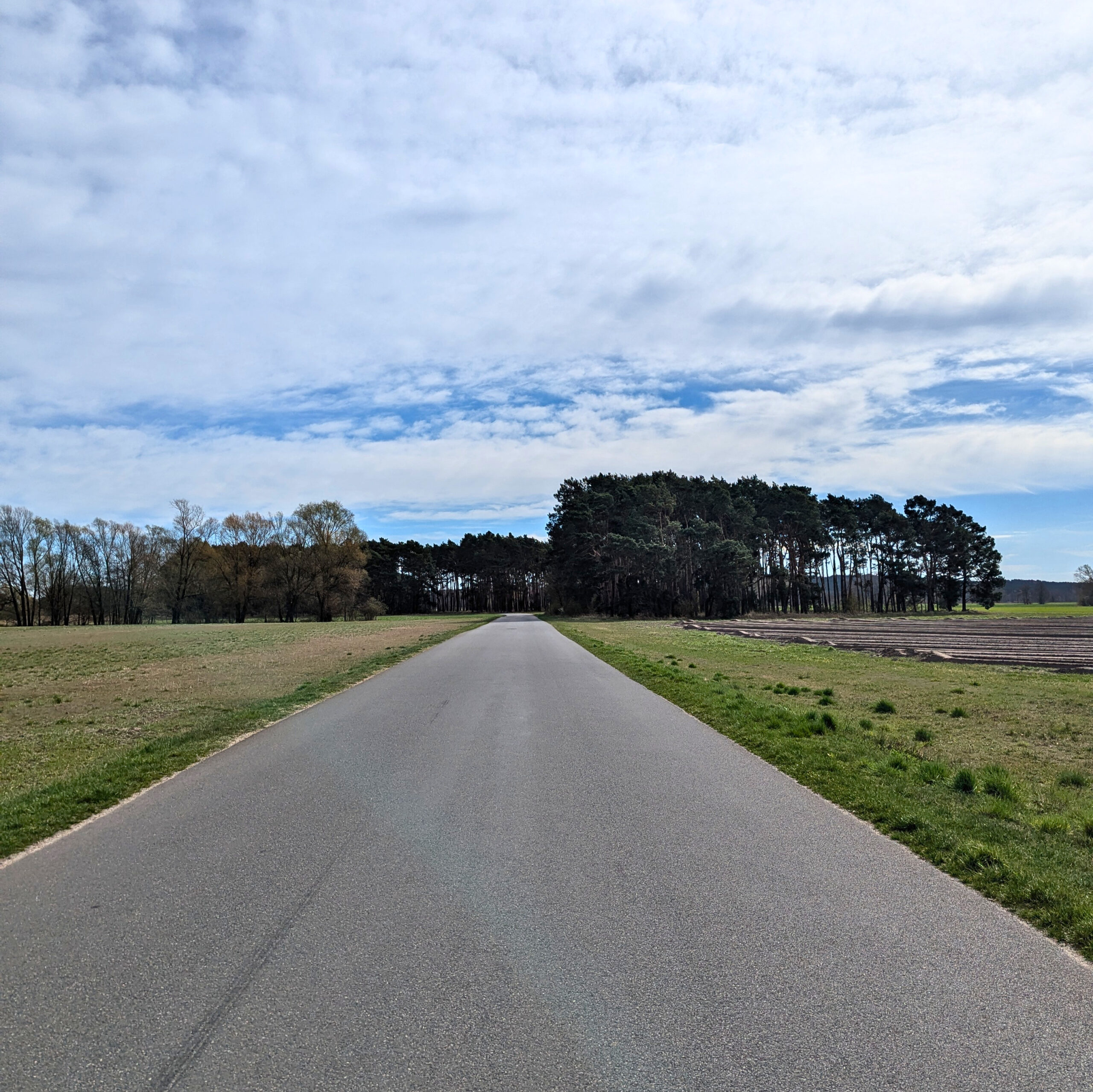 Asphaltierter Weg auf Gurkenradweg