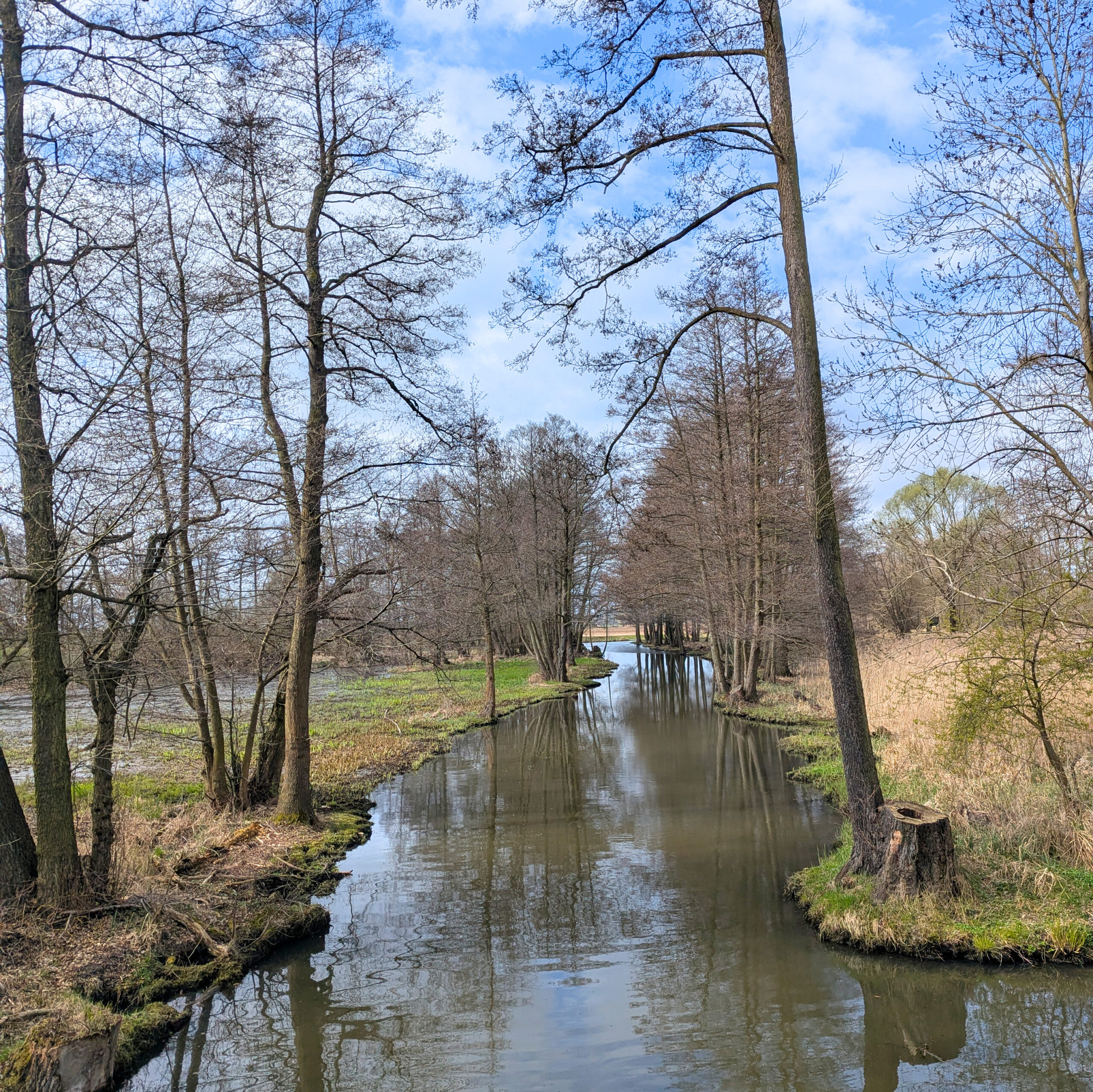 Flusslandschaft und Kanäle auf dem Gurkenradweg