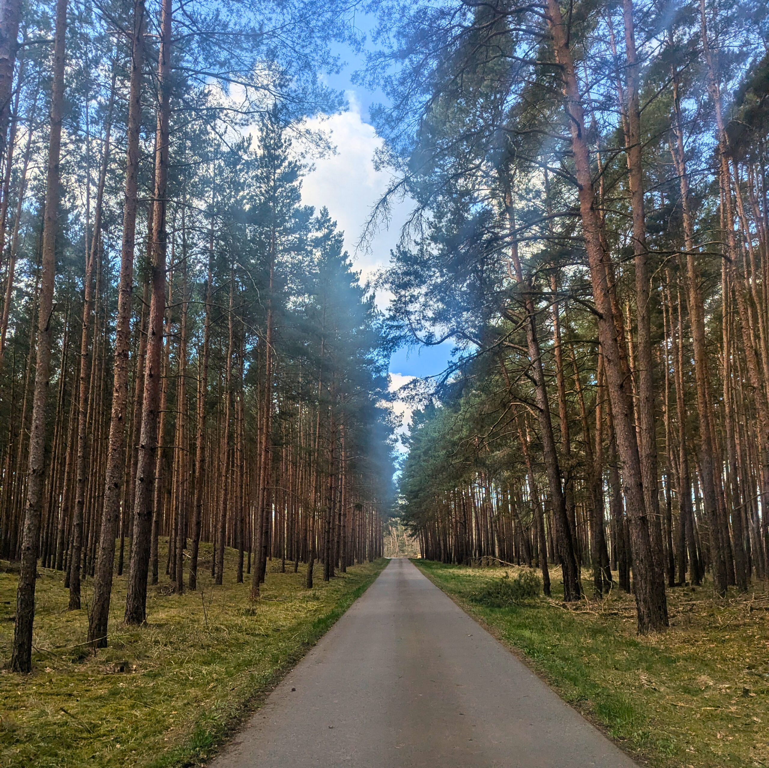 Gurkenradweg schöner Weg