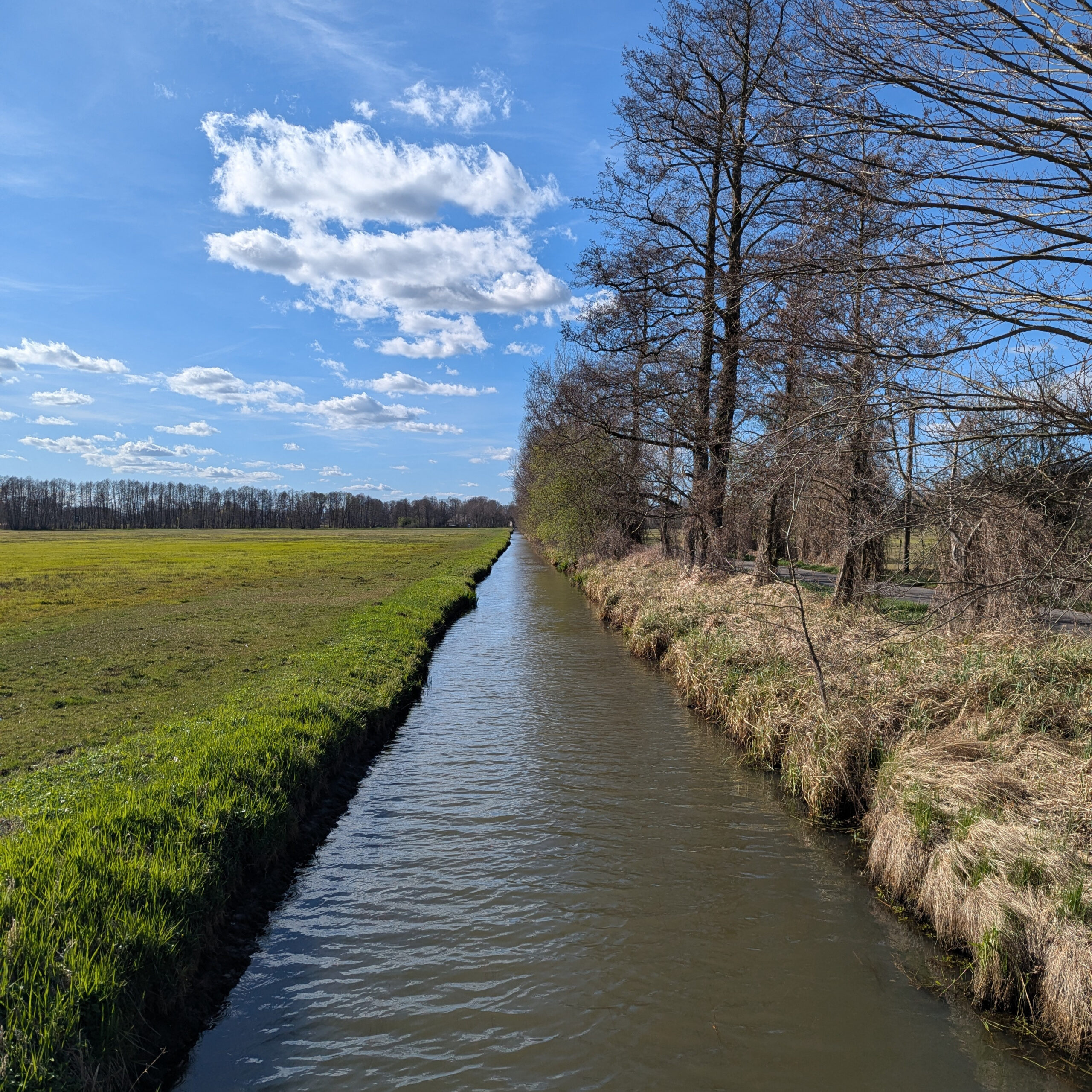 Gurkenradweg Fluss neben Radweg und Feldern