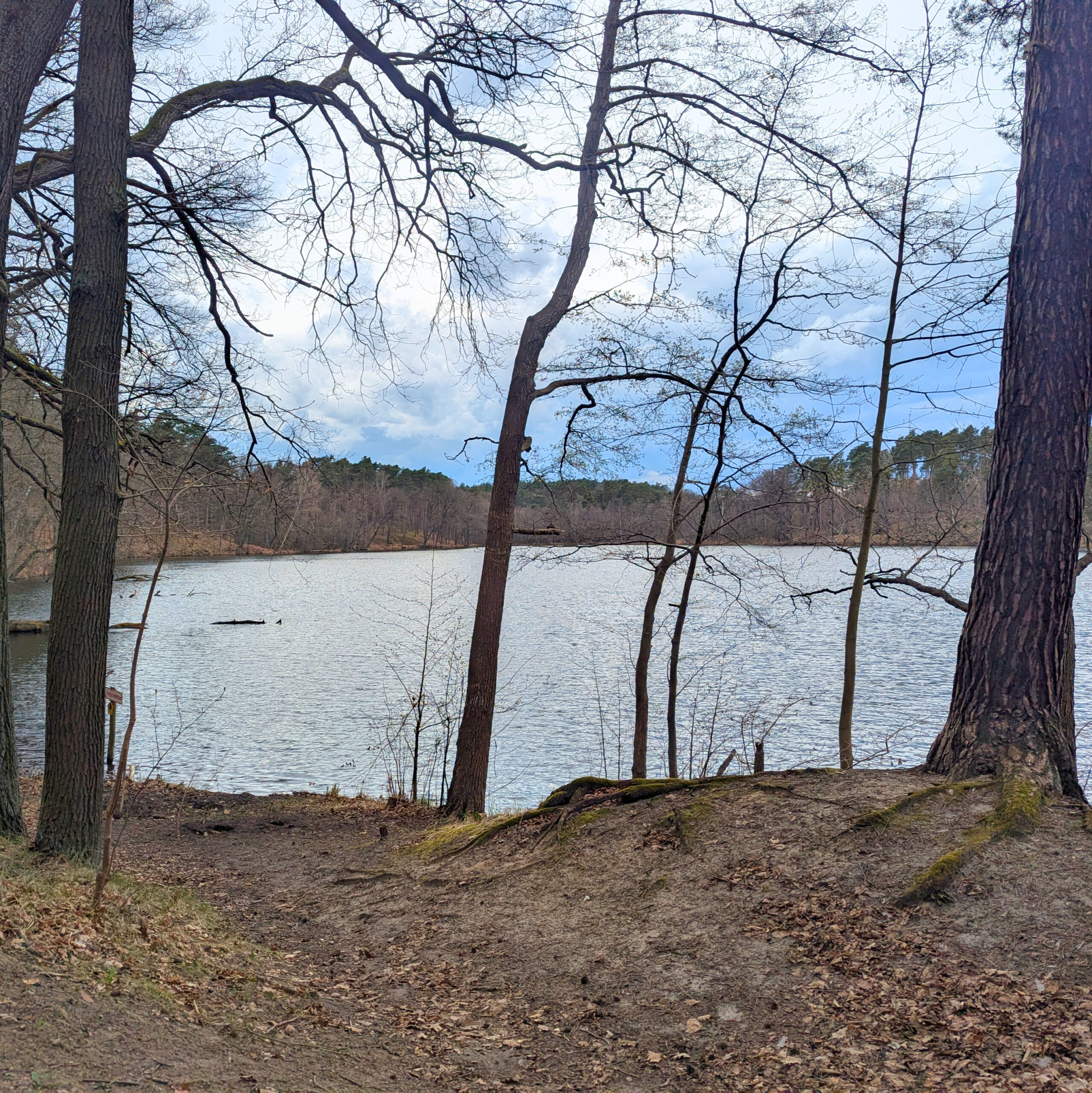 Pichersee bei Köthen