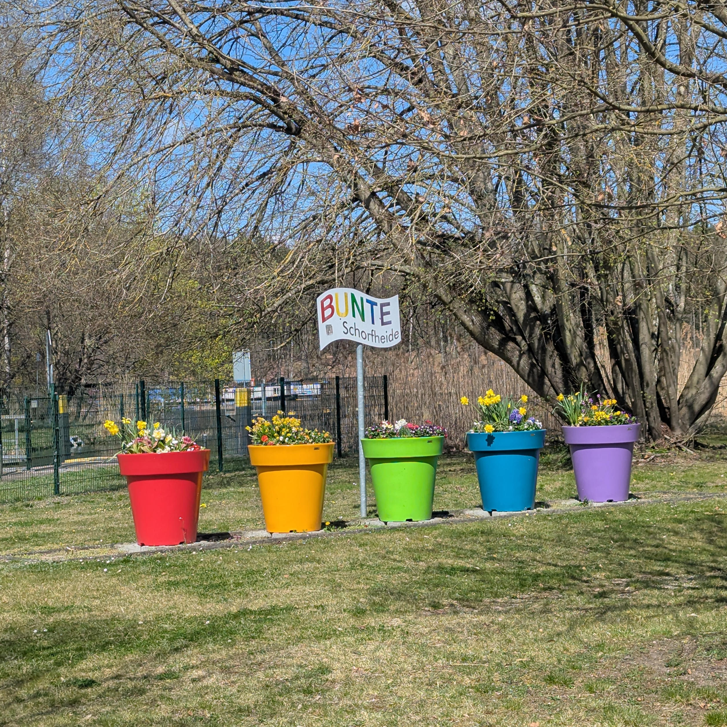 Bunte Blumentöpfe mit dem Schriftzug Bunte Schorfheide