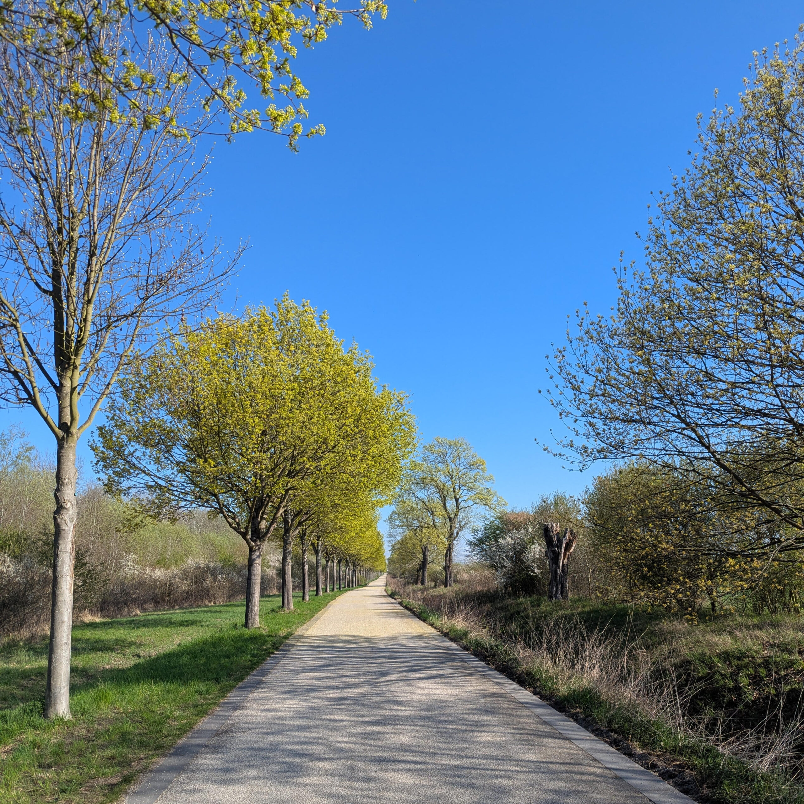 Schöner Radweg und Fußweg durch Park in Berlin Wartenberg