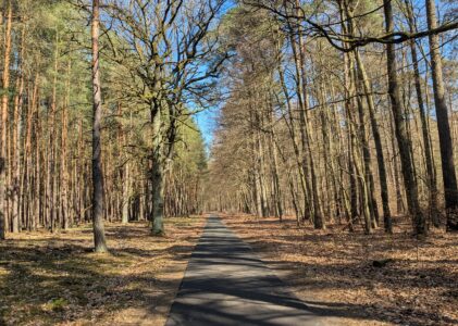 Bikepacking-Overnighter: Mikroabenteuer zwischen Berlin und Angermünde