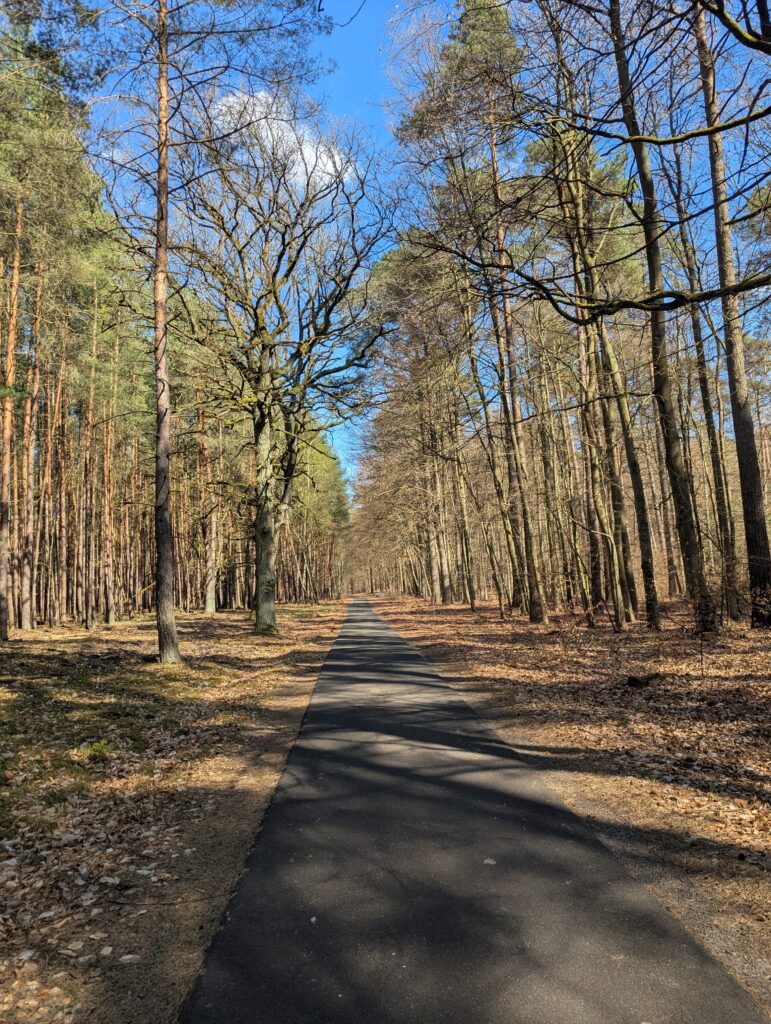 Overnighter Bikepacking Berlin Angermünde