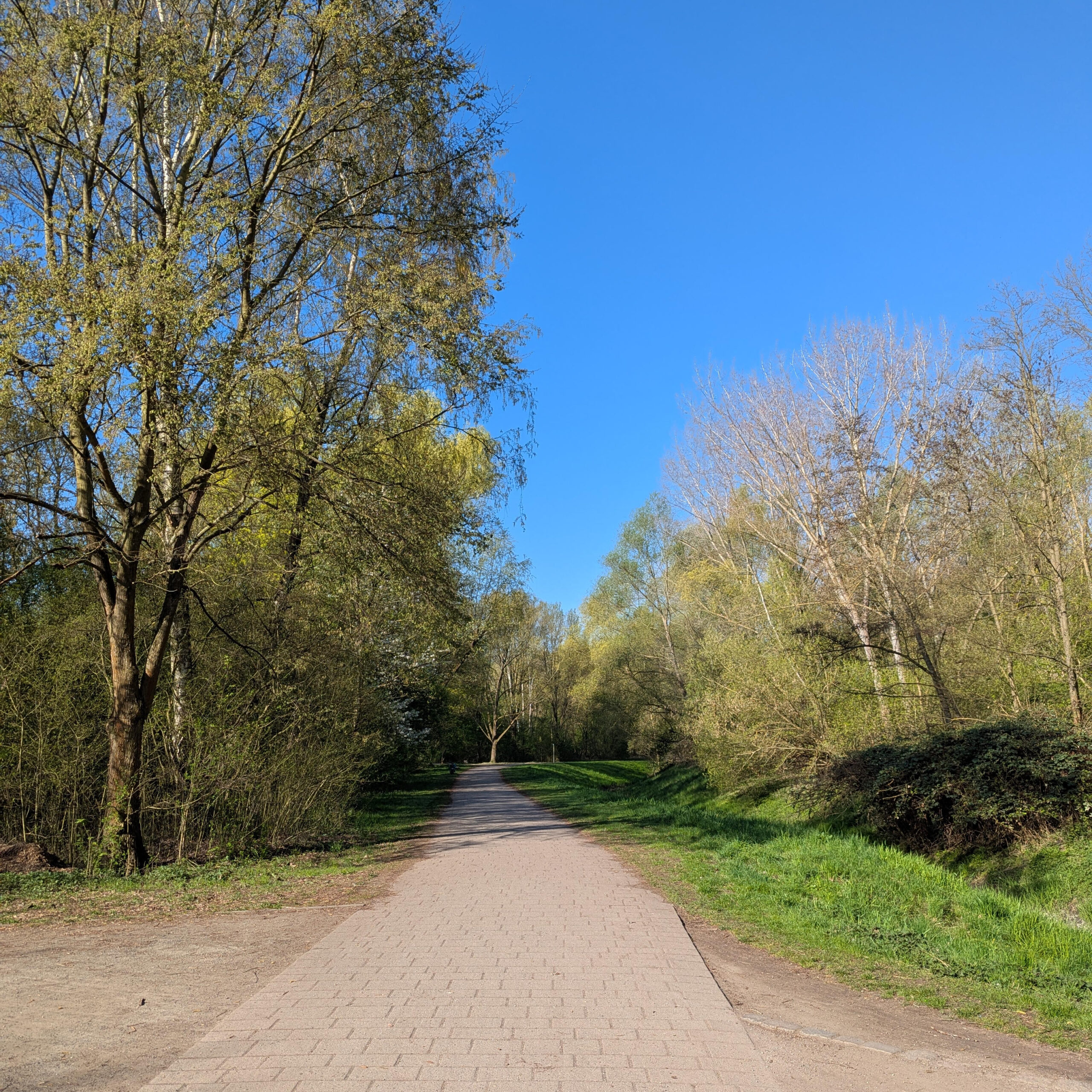 Pflasterweg durch Grünanlage