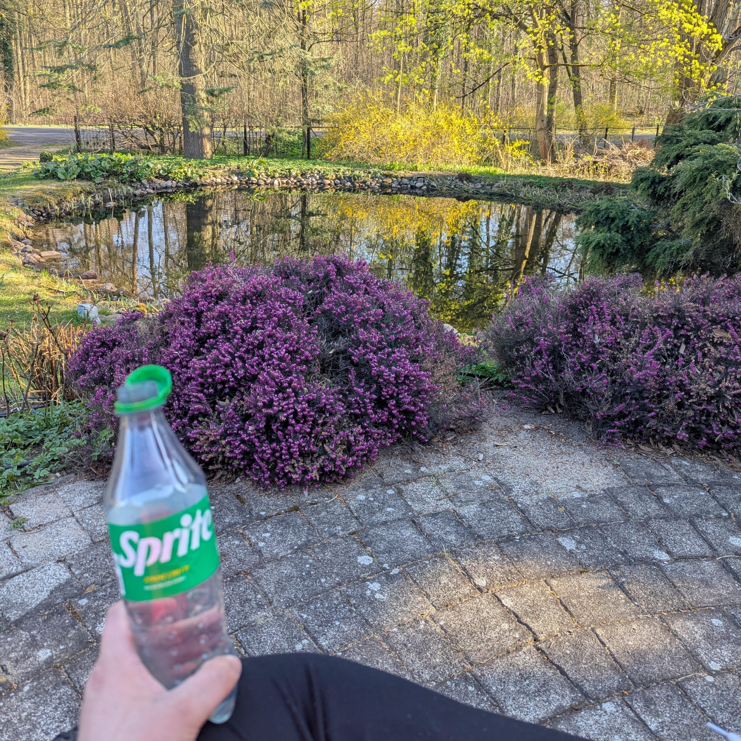 Ausblick auf kleinen Teich, im Vordergrund Spriteflasche
