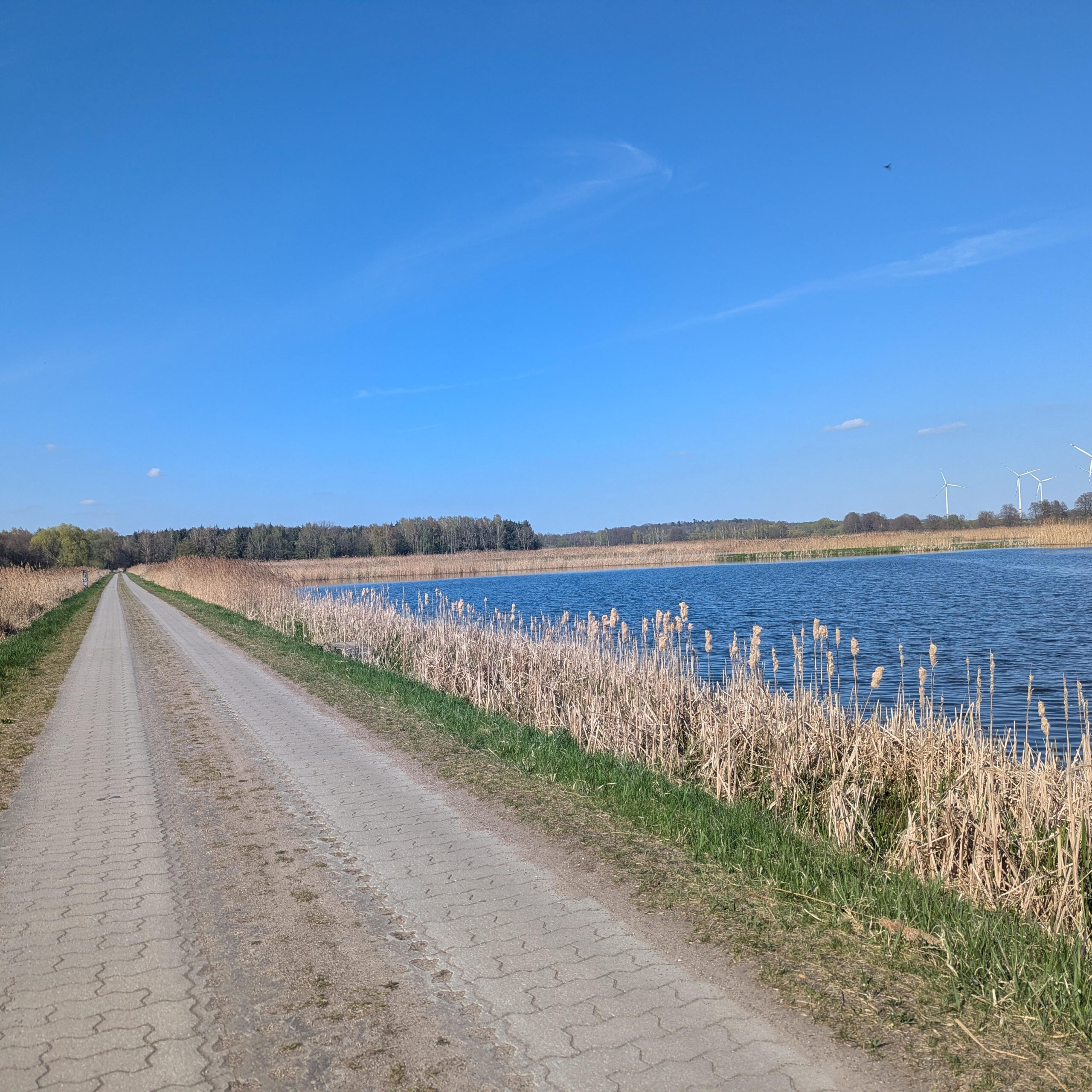 Overnighter Berlin Angermünde. Schöne Teichlandschaft bei Angermünde