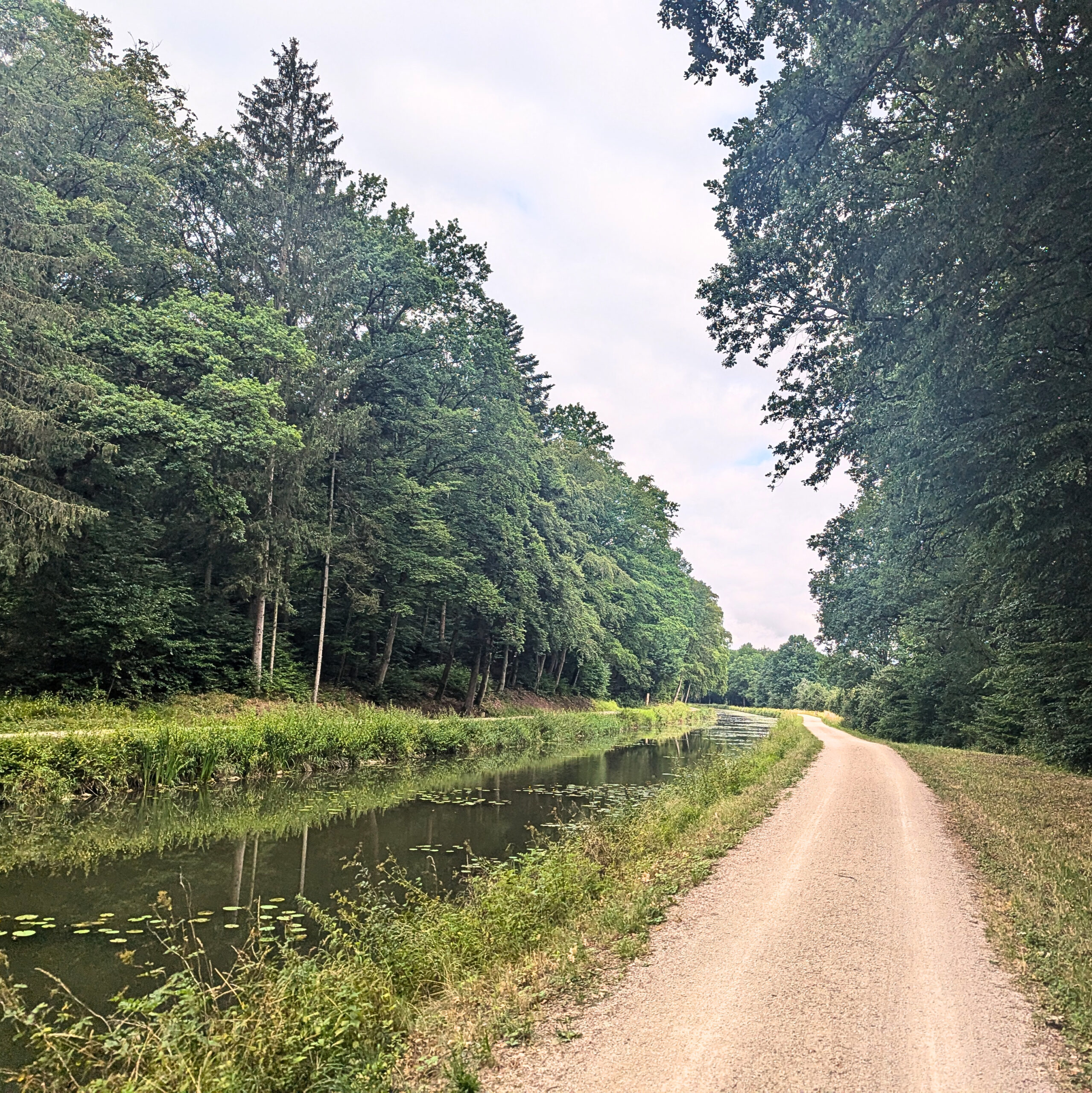 Schotterweg am Ludwig-Donau-Main-Kanal