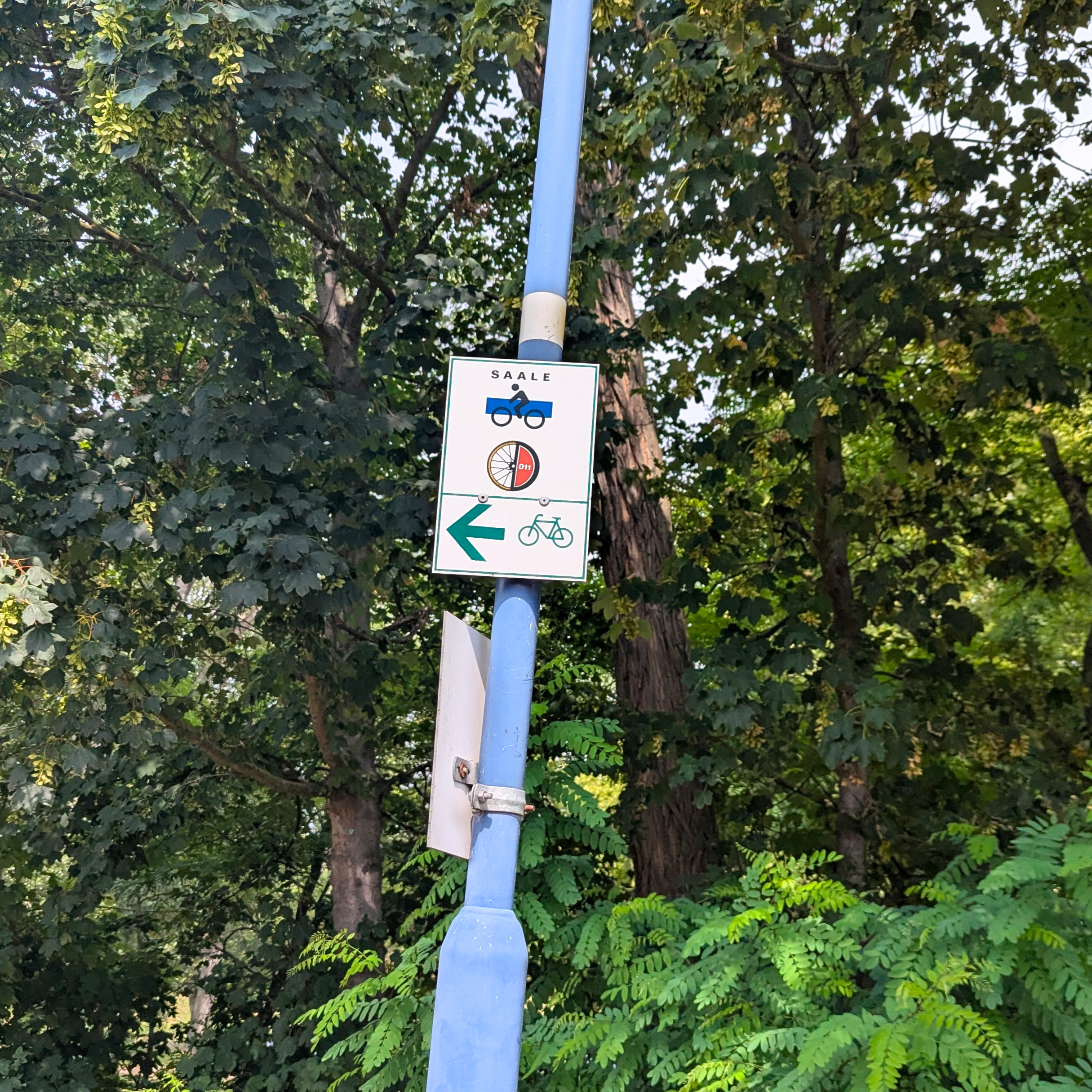 Wegweiser D11 Route und Saaleradweg