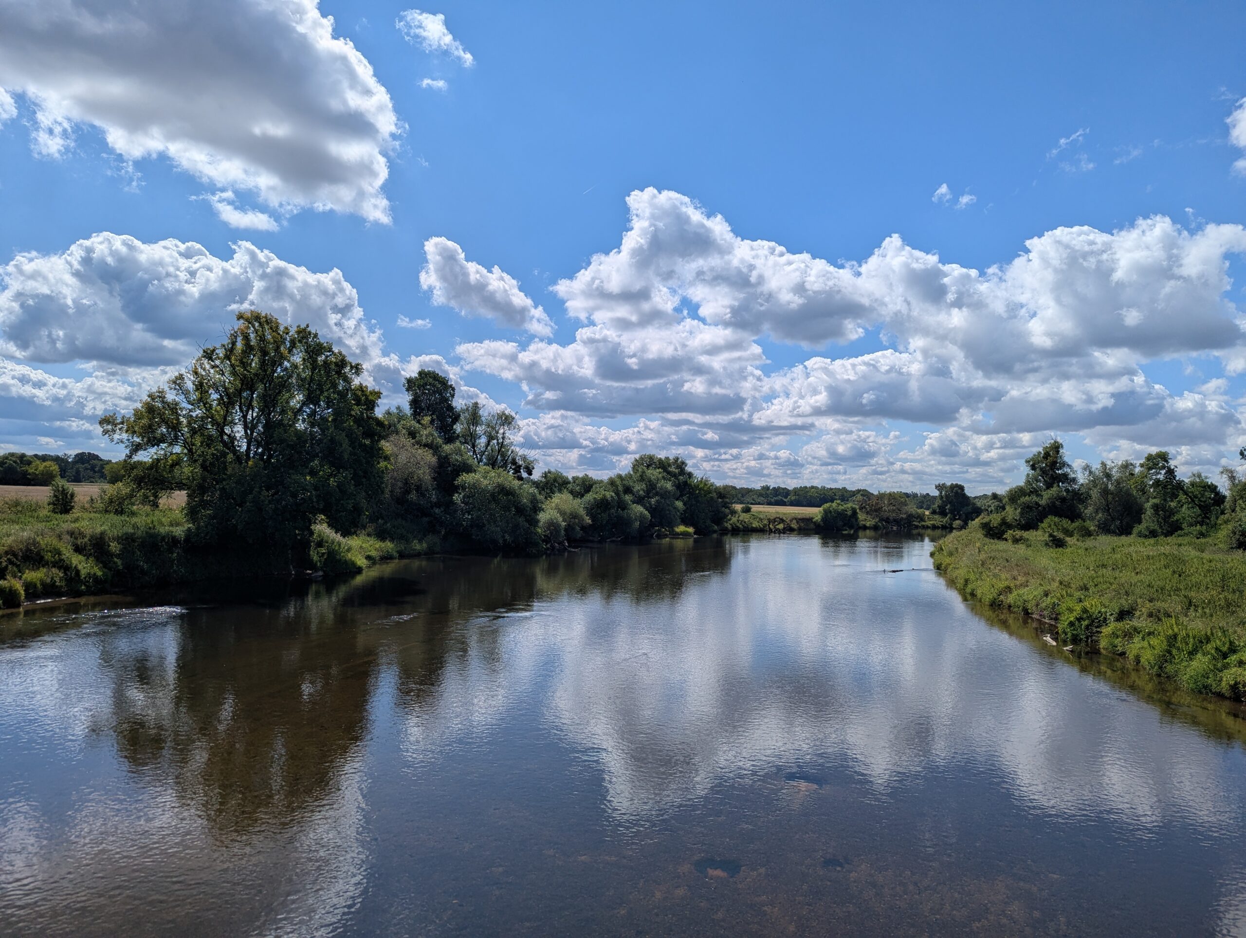 Ausblick auf die Elbe