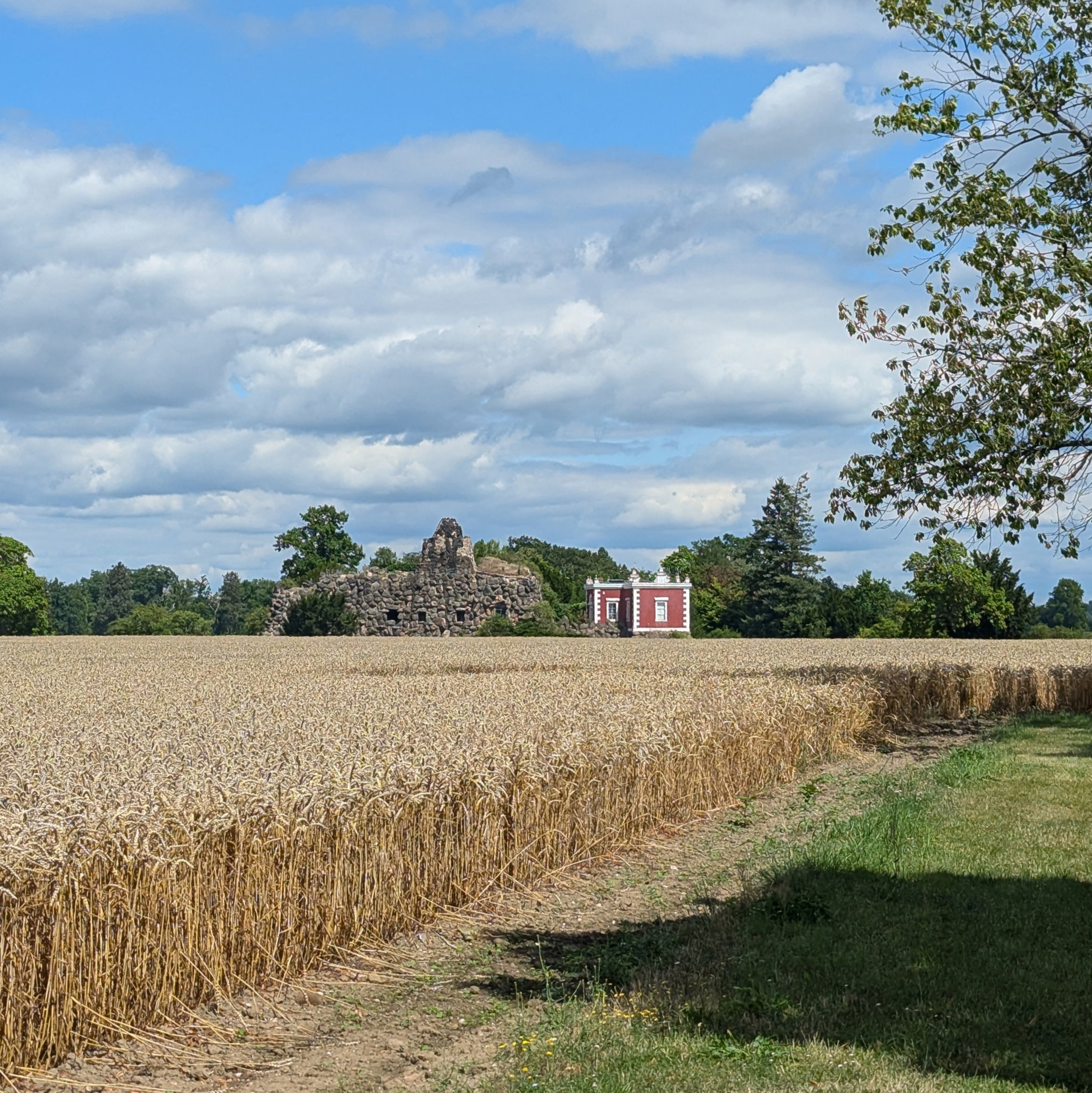 Blick auf Burgmauer bei Oranienbaum